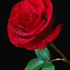 x._nn67