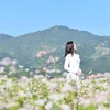 vera_lee8