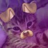 cakecookies28