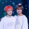 vyloves_hc