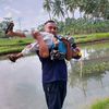 joestika010907