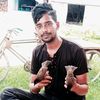 rjashik432