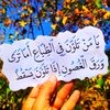 user9781978801245