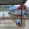 thanh.com974