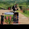 remdinhthu