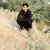 bashikhattak