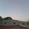 david.berrio28