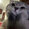 leogirl6989