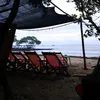 suri123436