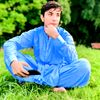 red..lion.wazir