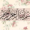 ahmed.ail532