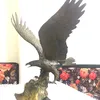 albaljluvmd