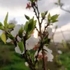 aliakber2646