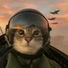 _borko_1