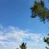 fllhurt