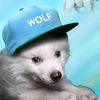 maxwellxd14