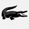 Nchlh200k.Lacoste🐊🐊
