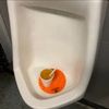 warm_liquid