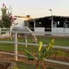 lbrahim8496