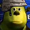 aseelsg2