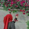 www.tiktok.comanika11