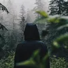 kali40380