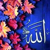 hhhassn7