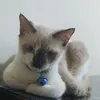 prtty_natalie08