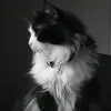 bindiya_gyawali_25
