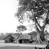 Việt Nam tôi đó