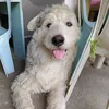 Mojacko