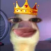skibidi_adii