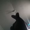 whyzzz_0o0