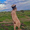 ahmed277690