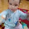trnlin368