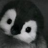 sya__ni2