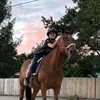 zu3eqestrian