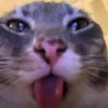 lexi._.ontiktok2