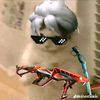 api.rat7