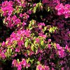 naturevideosforyou