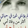 8xlla_