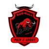 pdip.esport
