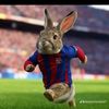 joeltiago.caal