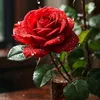juste.julie34