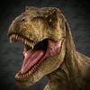 el_reig