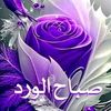 najeya.hamadi