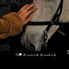 user1187856387120