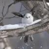 maymu_23