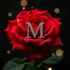 made.mad1