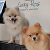 luckypupz5
